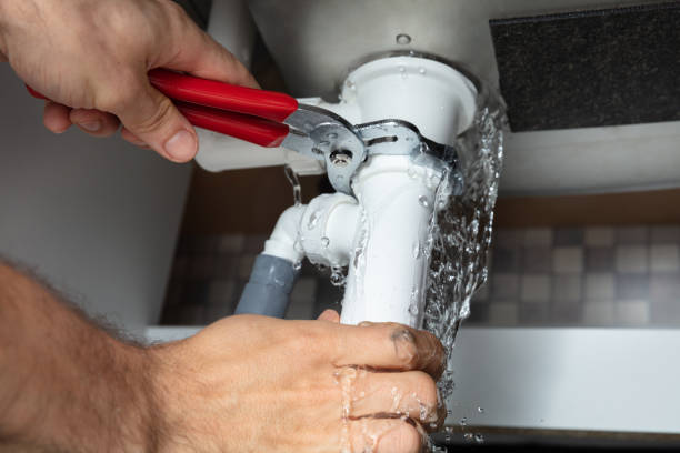 Best Water damage contractors near me  in Mount Pleasant, TN