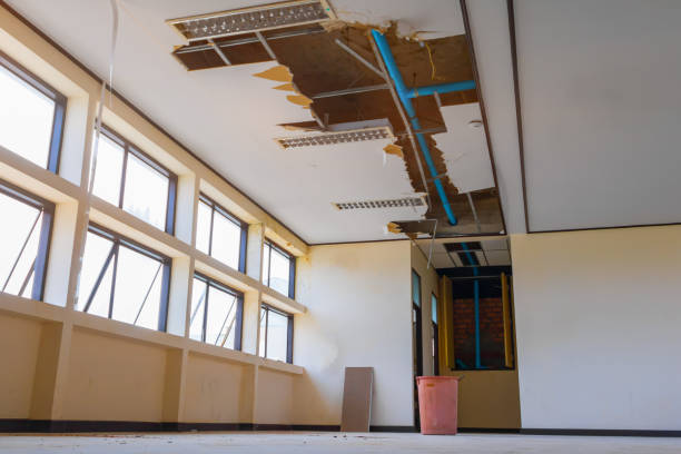 Best Professional water damage repair  in Mount Pleasant, TN