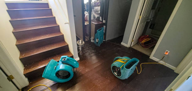 Best Sewage cleanup and water damage restoration  in Mount Pleasant, TN
