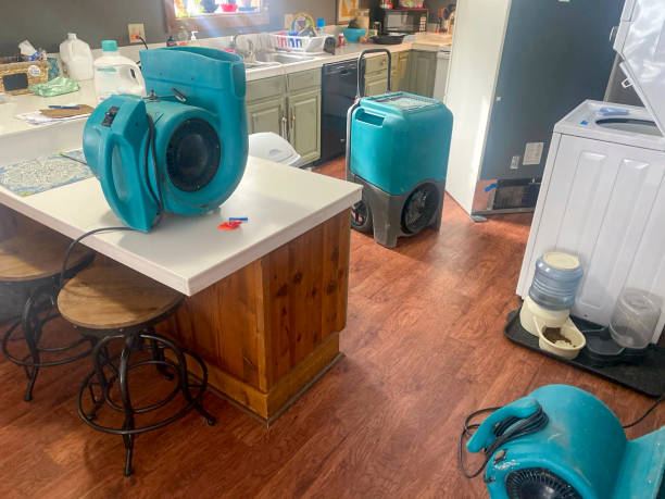 Best Water damage restoration near me  in Mount Pleasant, TN