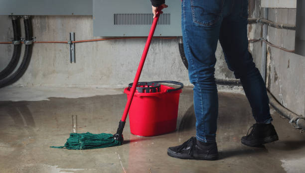 Best Flooded house restoration  in Mount Pleasant, TN