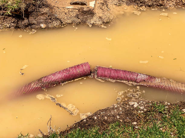 Best Commercial water damage restoration  in Mount Pleasant, TN